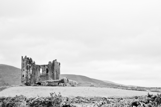 DSC_0070-2 Ballycarberry Castle (1280x853)