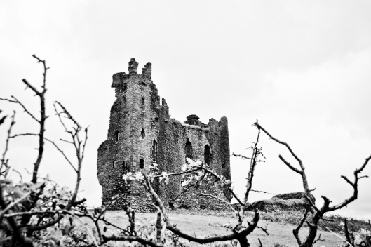 DSC_0092-2 Ballycarberry Castle (1280x854)