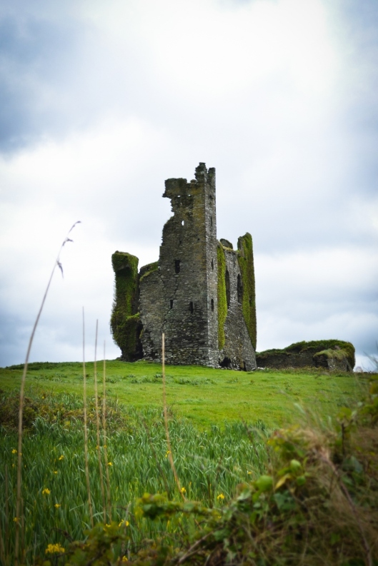 DSC_0093 Ballycarberry Castle (853x1280)